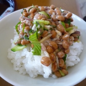 納豆の食べ方-キュウリしそミョウガ♪